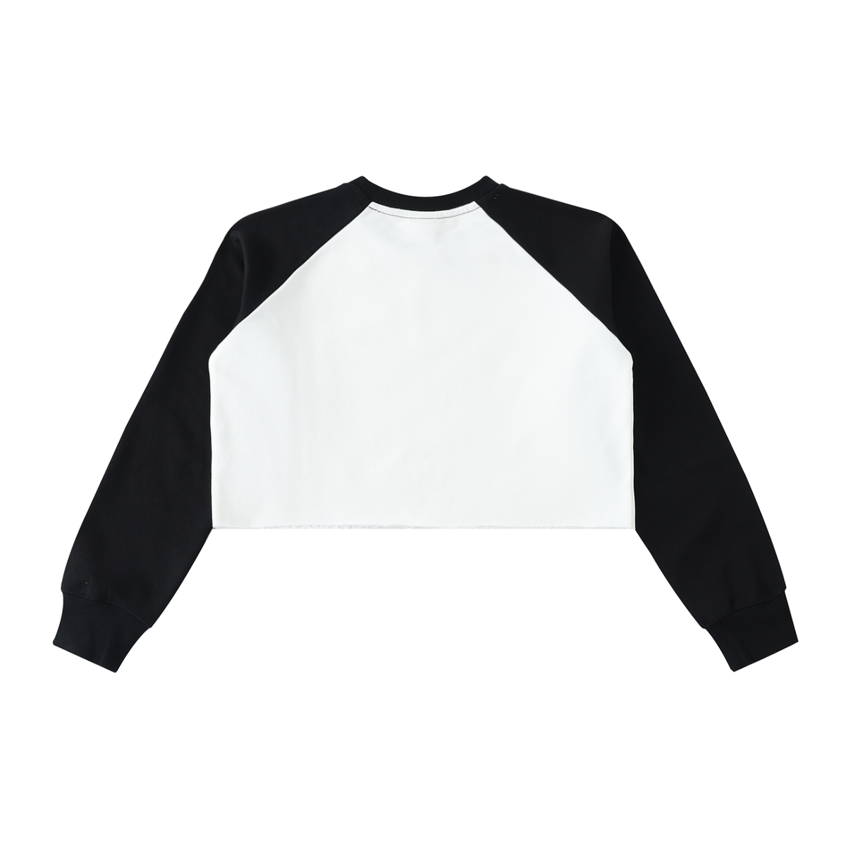 Wifi Crop Sweatshirt